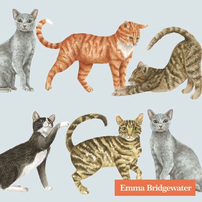 Hovedbilde Emma Bridgewater Cats kaffeservietter