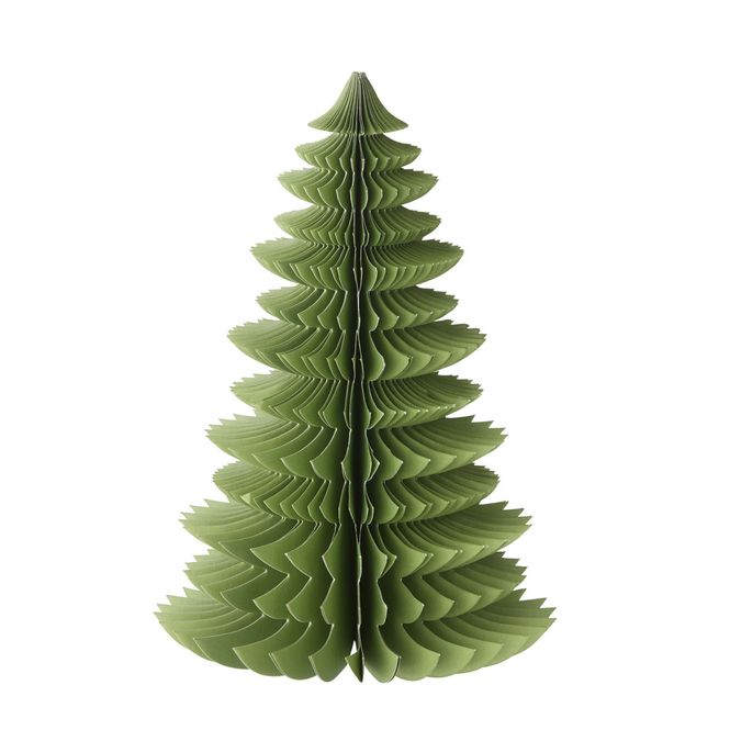 Hovedbilde Papirtre Wispwood Forest green 26cm 