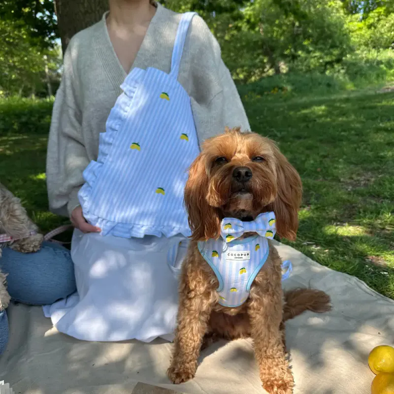 Tote Bag Living La Vida Lemon