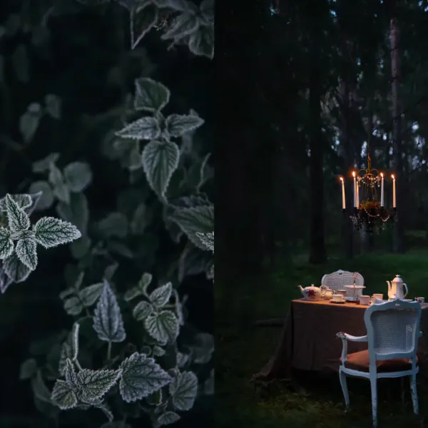 The Art of Fun Dining 