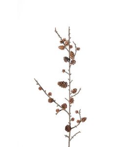 Hovedbilde Konglegren 65 cm