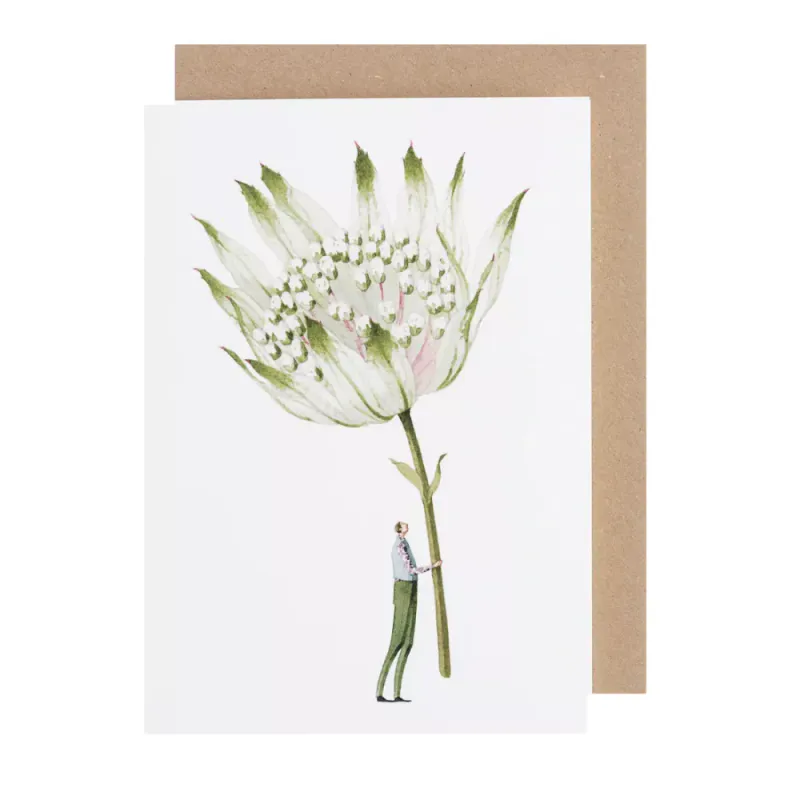 Laura Stoddart Astrantia kort