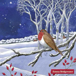 Hovedbilde Emma Bridgewater Midnight Robin servietter