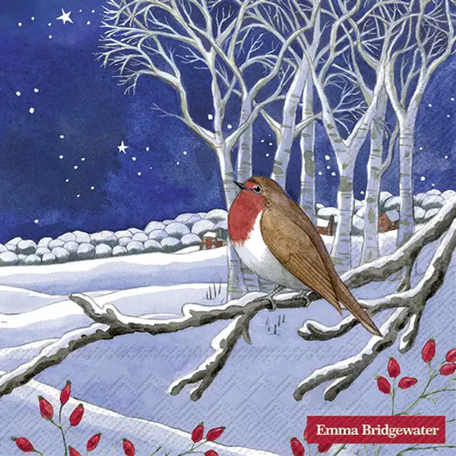 Hovedbilde Emma Bridgewater Midnight Robin servietter