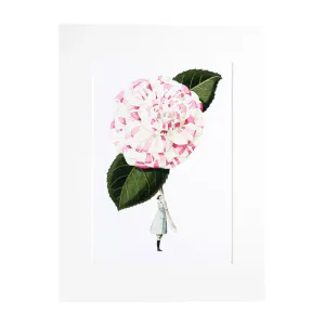 Hovedbilde Laura Stoddart A4 Print - Camelia