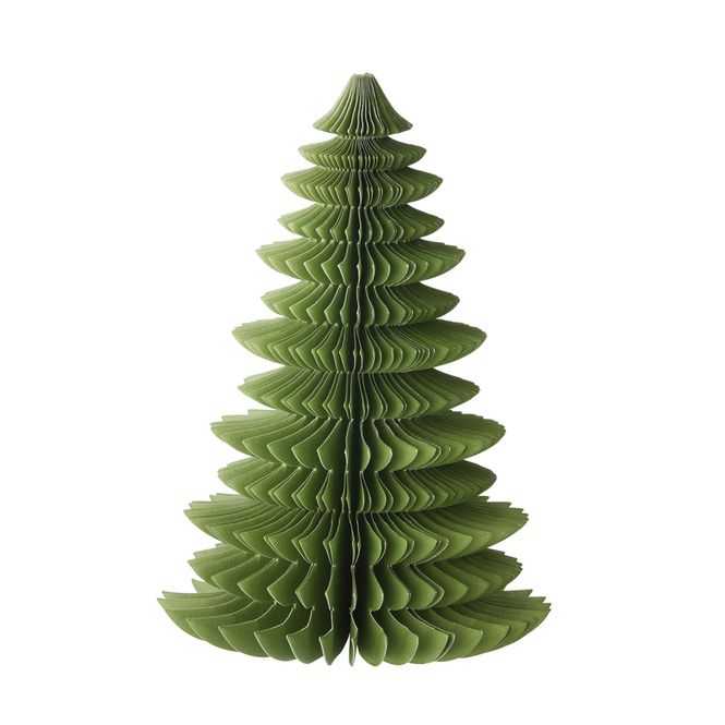 Hovedbilde Papirtre Wispwood Forest green 18cm 