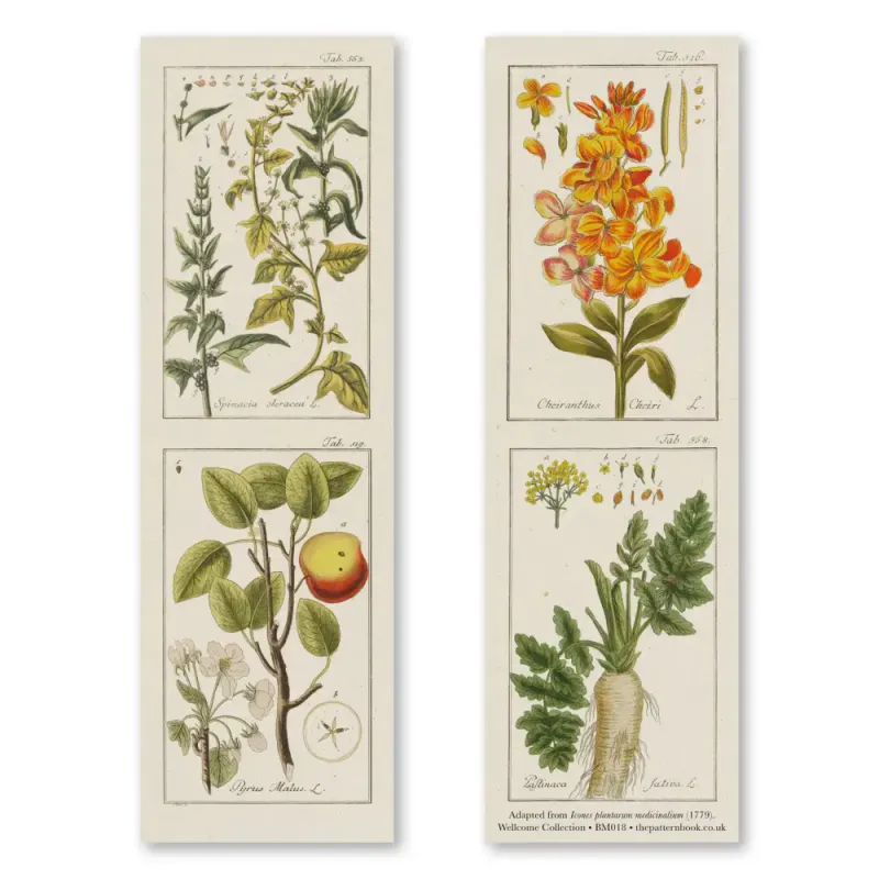 The Pattern Book Botanical Illustrations bokmerke 3pk