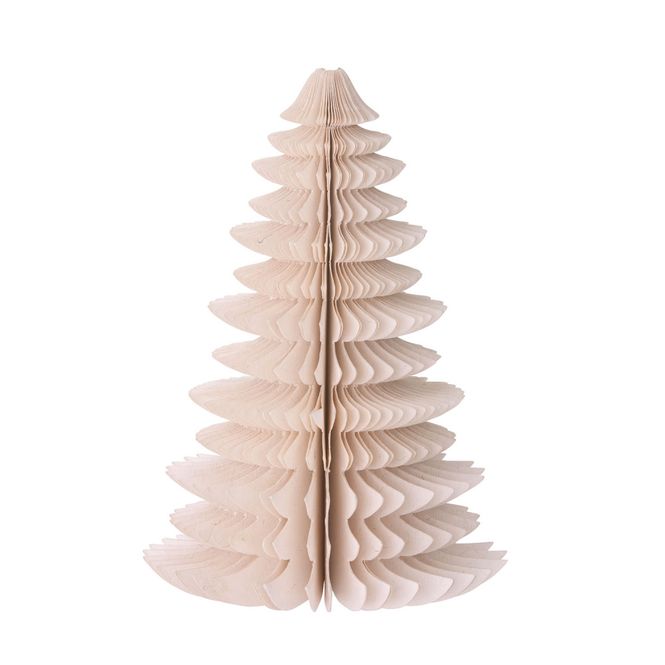 Hovedbilde Papirtre Wispwood Powder pink 18cm 