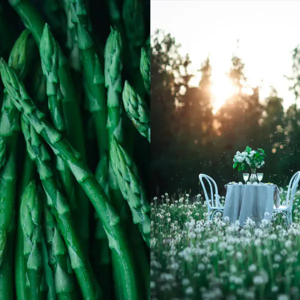 The Art of Fun Dining 