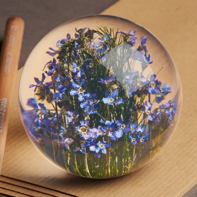 Hafod Grange Forget me not paperweight S