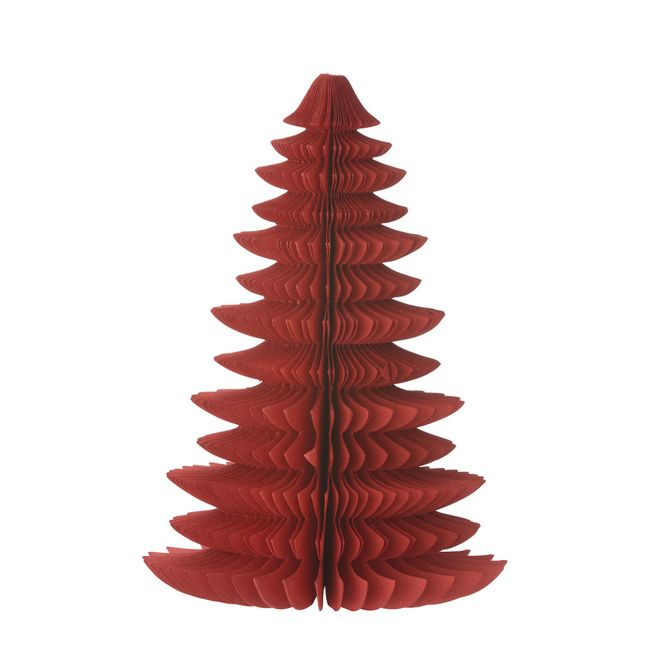 Hovedbilde Papirtre Wispwood Ruby red 18cm 