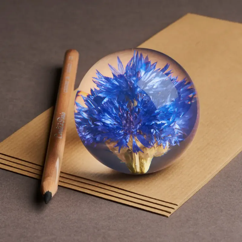 Hafod Grange Cornflower paperweight S