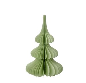 Hovedbilde Papirtre Spruce Ming 24cm