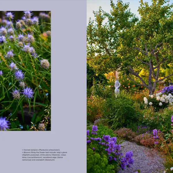 Island Gardens, Krista Keltanen