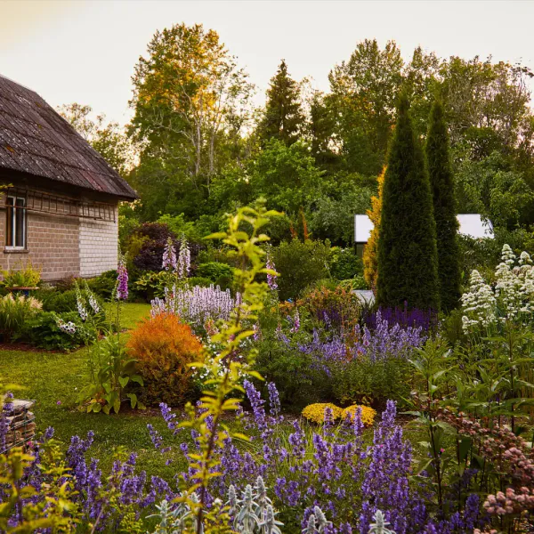 Island Gardens, Krista Keltanen