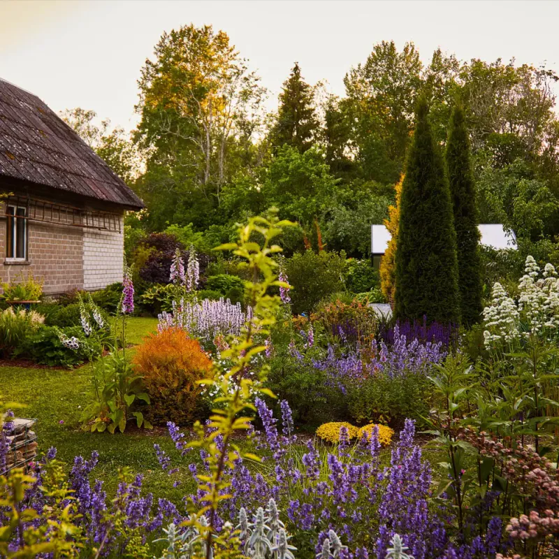 Island Gardens, Krista Keltanen